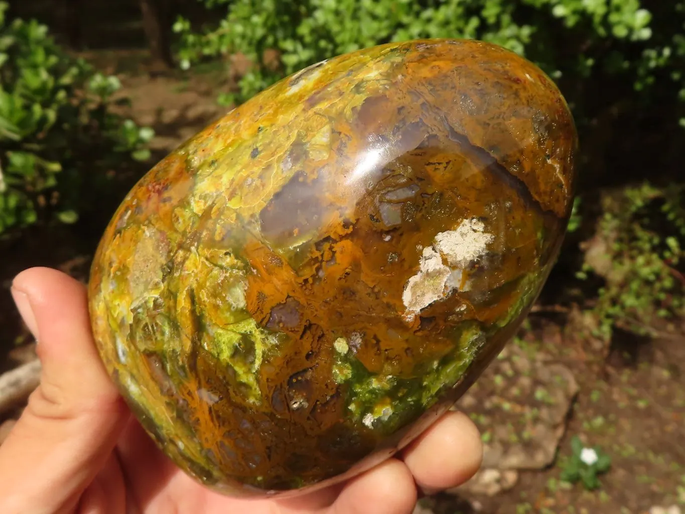 Polished Green Opal Standing Free Forms  x 3 From Madagascar