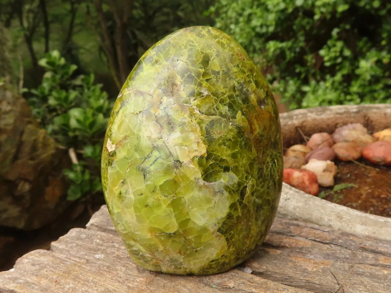 Polished Green Opal Standing Free Forms  x 3 From Madagascar