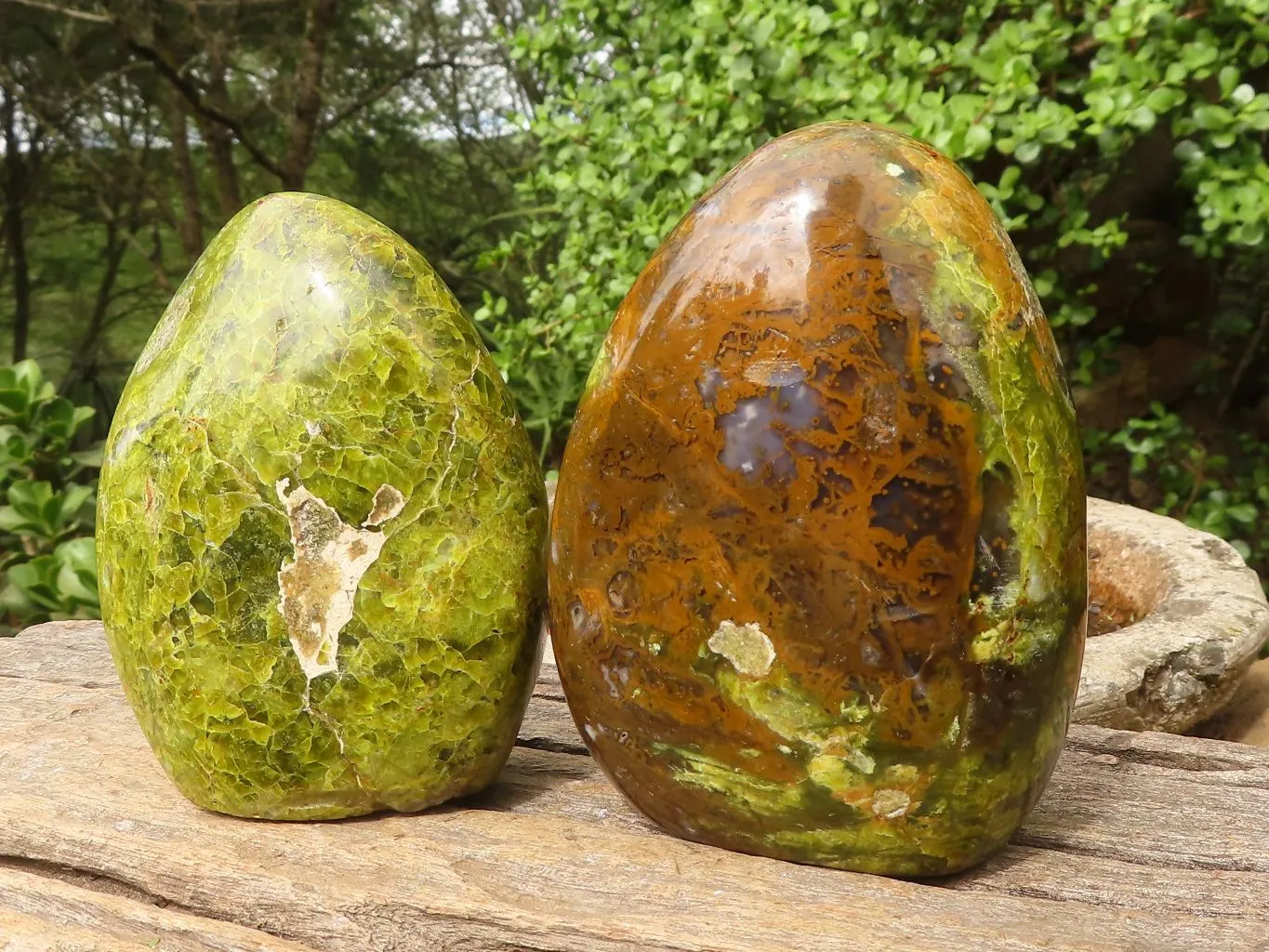 Polished Green Opal Standing Free Forms  x 3 From Madagascar