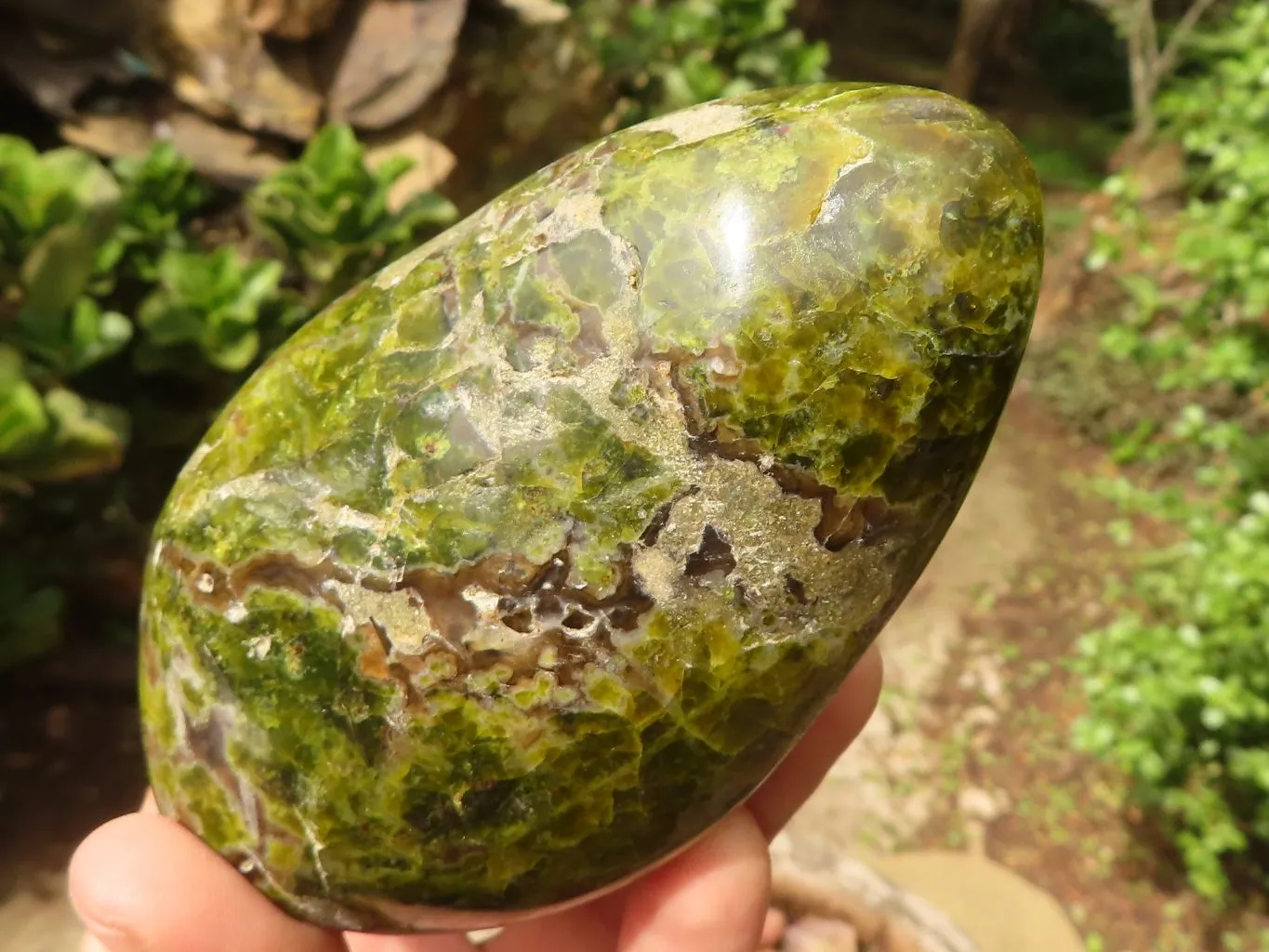 Polished Green Opal Standing Free Forms  x 3 From Madagascar