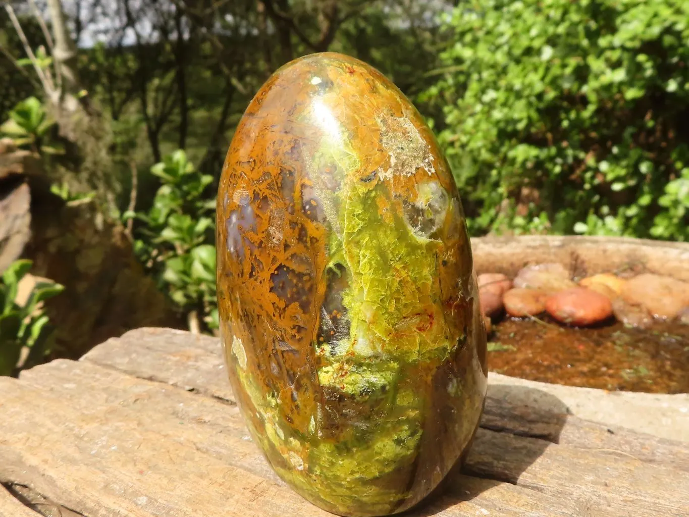Polished Green Opal Standing Free Forms  x 3 From Madagascar