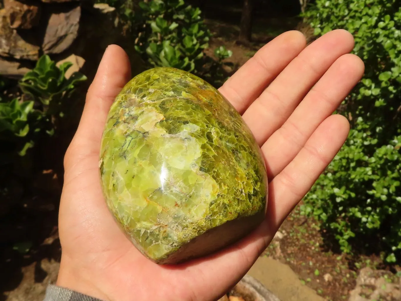 Polished Green Opal Standing Free Forms  x 3 From Madagascar